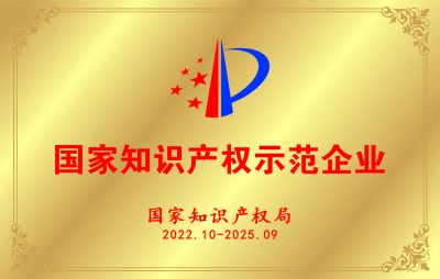 國家知識(shí)產(chǎn)權(quán)示范企業(yè) 